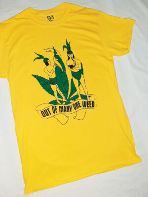 Alternative view of Out of Many (Yellow)