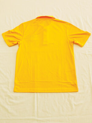 Alternative view of Polo (Gold)